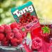 GIFT BOX TREASURES Tang Raspberry Drink Mix 2 Boxes Each Box Has 3 Pouches - Buy Online on GoSupps.com