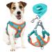 Rennaio dog harness no pull adjustable puppy dishes with 2 linen clips ultra comfortable chest harness and leash set for small and medium-sized dogs (Seeblau L) Seeblau L