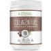 Primal Kitchen Collagen Peptide Drink Mix Collagen Fuel Chocolate Coconut 13.9 oz (394 g)
