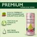 Folkington's Rhubarb & Apple Press 12-Pack Sparkling Soft Drink - Ideal Cocktail & Gin Mixer | 12 x 250ml - Buy Online on GoSupps.com
