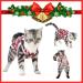 Mairbero Cat Recovery Pajama Suit | Anti-Licking Wounds | Breathable Pet Clothing for Cats & Dogs | Ideal After Surgery Wear | Christmas Red - Buy Online on GoSupps.com