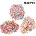 FRCOLOR 6000 Pcs Flowers Fruit Decorations Child Full Cover Applique - Buy Online on GoSupps.com