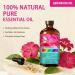 Geranium Essential Oil 4 Fl Oz and Lotus Essential Oil 4 Fl Oz - ZODION Geranium & Lotus Oil for Diffuser Aromatherapy Home Fragrance Skin & Hair Care DIY Candle & Soap Making Yoga - Buy Online on GoSupps.com
