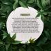 New Paradise Moisturising Cream - 5D Hyaluronic Acid Niacinamide & Vitamin E | Anti-Aging Face Moisturizer for Fresh Skin - Buy Online on GoSupps.com