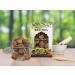 QURA Organic Sabut Reetha/Soap Nuts 500 Gram Natural (BMKB-207) - Buy Online on GoSupps.com