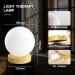 3D Printed Moon Desk Lamp | 10000 LUX Mood Light Therapy | Remote Control, 4 Brightness Levels, Timer | Sunlight Lamp with 3 Color Temperatures | Wood Base | Ideal for Office or Bedside - Buy Online on GoSupps.com