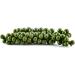 White Pepper 1-2mm Finely Chopped Steak Pepper Reduces Germs Premium Quality from Indonesia Polyethylene Bucket 1500g (1.5kg) - Buy Online on GoSupps.com