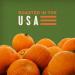 BIGS Lightly Salted Pumpkin Seeds 5.0 oz (Pack of 12) - Keto Friendly Snack - Buy Online on GoSupps.com