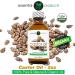 ELP Pure Organic Castor Oil - 100% Natural for Hair Eyebrow & Eyelash Growth Anti-Aging & Skin Hydration - 2 fl oz - Buy Online on GoSupps.com