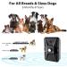 Queenmew Anti Bell Device for Dogs - 3 Modes Ultrasound Bark Control 33ft Range IPX4 Waterproof - Effective Training for Large & Small Dogs Indoors & Outdoors - Buy Online on GoSupps.com