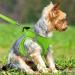 Joytale Dog Harness for Small Dogs - Reflective Soft Padded Air-Mesh Harness (Size S 38-42cm) - Green - Perfect for Puppies - Buy Online on GoSupps.com