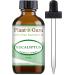 Eucalyptus Essential Oil 2 oz 100% Pure Undiluted Therapeutic Grade for Aromatherapy Diffuser Sinus Relief Allergies Cough Nasal and Chest Congestion