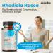 Rhodiola Rosea Fort | High Titration Supplement 5% Rosavine 3% Salidrosides | 60 Capsules | 100% Natural - Buy Online on GoSupps.com