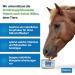 Buy Imima Mineralleckstein Horse Biotin + Plus Salzleckstein Set (2 x 3kg) - Mineral Salt Lick Stones for Horses Sheep & Goats - 6kg Pack - International Shipping Available - Buy Online on GoSupps.com
