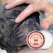 Eye Care Balm for Pets - Remove Tear Stains Herbal 30g Balm for Dogs & Cats Deep Nourishment - Buy Online on GoSupps.com