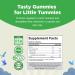 Kids Fiber Gummy Prebiotics Supplement - Digestive Health & Immune System Support - Constipation Relief & Gut Repair - Delicious Gummy Vitamins - Buy Online on GoSupps.com