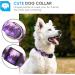 Heele Adjustable Dog Collar - Patterned Comfort Collars for Small to Large Dogs | Purple 40.5-65cm - Buy Online on GoSupps.com