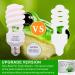 AIICIOO UVB Lamp for Turtles & Reptiles - 23W Terrarium Sunlight Lamp for Bearded Dragons & Leopard Geckos - E27 Natural Light - Buy Online on GoSupps.com