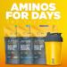 Aminos | 4g Free-Form Amino Acids & Beta-Alanine - 0 Sugar 60 Servings (Grape Gatsby) - Shop Internationally - Buy Online on GoSupps.com