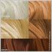 Buy Paradyes Ammonia Free Honey Blonde Hair Highlighting Kit | Herbal Ingredients | Semi-Permanent Creme Color | All Hair Types | International Shipping Available - Buy Online on GoSupps.com