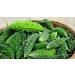 Herbal Magic's Organic Bitter Gourd Powder-Great Green Vegetable-Also Known as Karela Bitter Melon Balsam-pear. Free from Fillers & Preservatives- of&G UK Organic Certified- 200g (Pack of 1) 200 g (Pack of 1) - Buy Online on GoSupps.com
