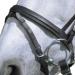 Buy Star WALDHAUSEN Diamond Black Thoroughbred Bridle | Premium Quality International Shipping - Buy Online on GoSupps.com