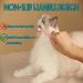 Emmeliestella Small Dog & Cat Toothbrush | Soft Silicone | Dental Care | Oral Hygiene | 360 Cleaning | Easy-to-Handle | Deep Clean | Light Blue & Pink | 3 Pack - Buy Online on GoSupps.com