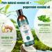Coconut Oil Mouthwash (8 Fl. Oz) - Natural Mint Flavor Essential Oils for Fresh Breath & Healthy Gums - Dye-Free Oral Hygiene Solution - Buy Online on GoSupps.com