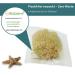 Tom & Pat Natural Bathing Sponge - Soft Greek Spa Quality for Sensitive Skin & Babies Dermatest Approved | 13-14 cm - Buy Online on GoSupps.com