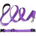 Buy Tagme Personalized Reflective Dog Collar & Leash Set - 1.5m Double-Sided Purple for Small Dogs | International Shipping Available - Buy Online on GoSupps.com