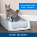 PetSafe ScoopFree Premium Crystal Cat Litter - 8.6 lb Total - 5x Better Odor Control - Non-Clumping Formula - Low Tracking & Dust - Original Blue - Buy Online on GoSupps.com