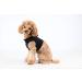 Puppia Dog Harness for Small & Medium Dogs - Soft Vest Multi-Color Options Anti-Tension Design - Perfect for Puppies & Daily Use - Buy Online on GoSupps.com