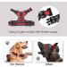 PHOEPET Reflective Large Breed Dog Harness with Handle | No Pull Vest for Easy On/Off | 2 Metal Rings, 3 Buckles | Medium Red - Buy Online on GoSupps.com