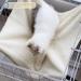 ComSaf Reversible Cat Hammock 22 x 19 inch Blue - Breathable Pet Bed with Adjustable Straps and Metal Hooks - Double-Sided Hanging Hammock for Cats, Ferrets, Puppies & Small Animals - Buy Online on GoSupps.com
