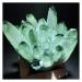 Natural Green Ghost Crystal Cluster Phantom Quartz Rock Stones and Crystals Reiki Specimen Home Decor Decoration Gift Stone Mineral Specimen (Color : A Army Green Size : 900-1000g) 900-1000g A Army Green