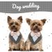 Kuoser Dog Tuxedo Bandana with Bow Tie | Formal Wedding Attire for Pets | Adjustable Costume for Small, Medium, Large Dogs | Grey - Buy Online on GoSupps.com