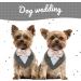 Kuoser Dog Hill Cloth Neckerchief - Christmas Bandana for Big Dogs | Fly & Stylish Dog Accessories in Black & Gray - Buy Online on GoSupps.com
