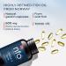 NFO Omega 3 Forte 60 Capsules Norwegian Fish Oil with high Concentration of EPA:DHA Formula with Vitamin E Natural Complex for Adults and Kids +3 Years Made in Norway from Freshly Caught Wild Fish 1 count (Pack of 60) - Buy Online on GoSupps.com