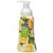 Softsoap Foaming Hand Soap - Kitchen Citrus Bliss 8 oz | Buy Internationally Online - Buy Online on GoSupps.com