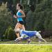 MOSUCOURL Dog Cooling Vest - Breathable Summer Coat for Dogs | Anti-Heat Evaporative Jacket for Outdoor Activities (Blue XS) - Buy Online on GoSupps.com