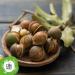 Organic Macadamia Nuts 500g - Unsalted & Raw | Rich in Minerals & Fiber - S nk Kerne - Buy Online on GoSupps.com