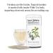 The Republic of Tea Asian Jasmine White Tea 50-Count - Exquisite Floral Blend - Buy Online on GoSupps.com