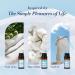 Buy JCLOUD Essential Oils for Laundry - Fresh Linen Soft Laundry & Warm Cotton Fragrance Oils Set (6x10mL) | Natural Scents for Diffusers & Wool Dryer Balls - International Shipping Available - Buy Online on GoSupps.com