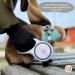 Belffy Cat Dishes & Leash Set - Automatic Leash for Cats Kittens & Dogs | Outbreak-Proof Jacket for All Sizes - Small Blue - Buy Online on GoSupps.com