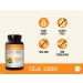 NatureWise CLA 1250 - 1000mg Softgels (90 Count) for Weight Management - Buy Online on GoSupps.com
