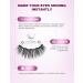 Magnetic Eyelashes with Eyeliner 6-Pair Long Lasting Magnetic Lashes Reusable 2 Tubes of Magnetic Eyeliner No Glue Needed Eye Lashes with Scissors Tweezers & Mirror Case - Buy Online on GoSupps.com