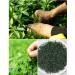 TooGet Wild Jiaogulan Loose Leaf Tea Premium Gynostemma Pentaphyllum Herbs 100% Natural - 4 OZ - Buy Online on GoSupps.com