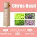 4PCS Women Perfume Eau De Parfum Perfume Oil Roll-On Perfumes for Women and Men by Fresh Flower Fruit Fragrances 10 ml / 0.33 fl Oz (Fruit Fragrance Series) - Buy Online on GoSupps.com