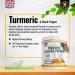 High Strength 365 Turmeric Capsules with Black Pepper | 1 Year Supply | Vegetarian | Curcumin Supplement - Buy Online on GoSupps.com