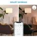 WiZ Connected 6-Pack Color 60W A19 Smart WiFi Light Bulb  16 Million Colors  Compatible with Alexa and Google Home Assistant  No Hub Required  6 Bulbs A19 Color 6 Count (Pack of 1) - Buy Online on GoSupps.com